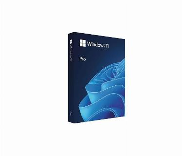 MICROSOFT WINDOWS PRO 11 64BIT ENGLISH 1PK DSP OEI DVD.