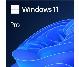 MICROSOFT WINDOWS PRO 11 64BIT SPANISH LATAM 1PK DSP OEI DVD.